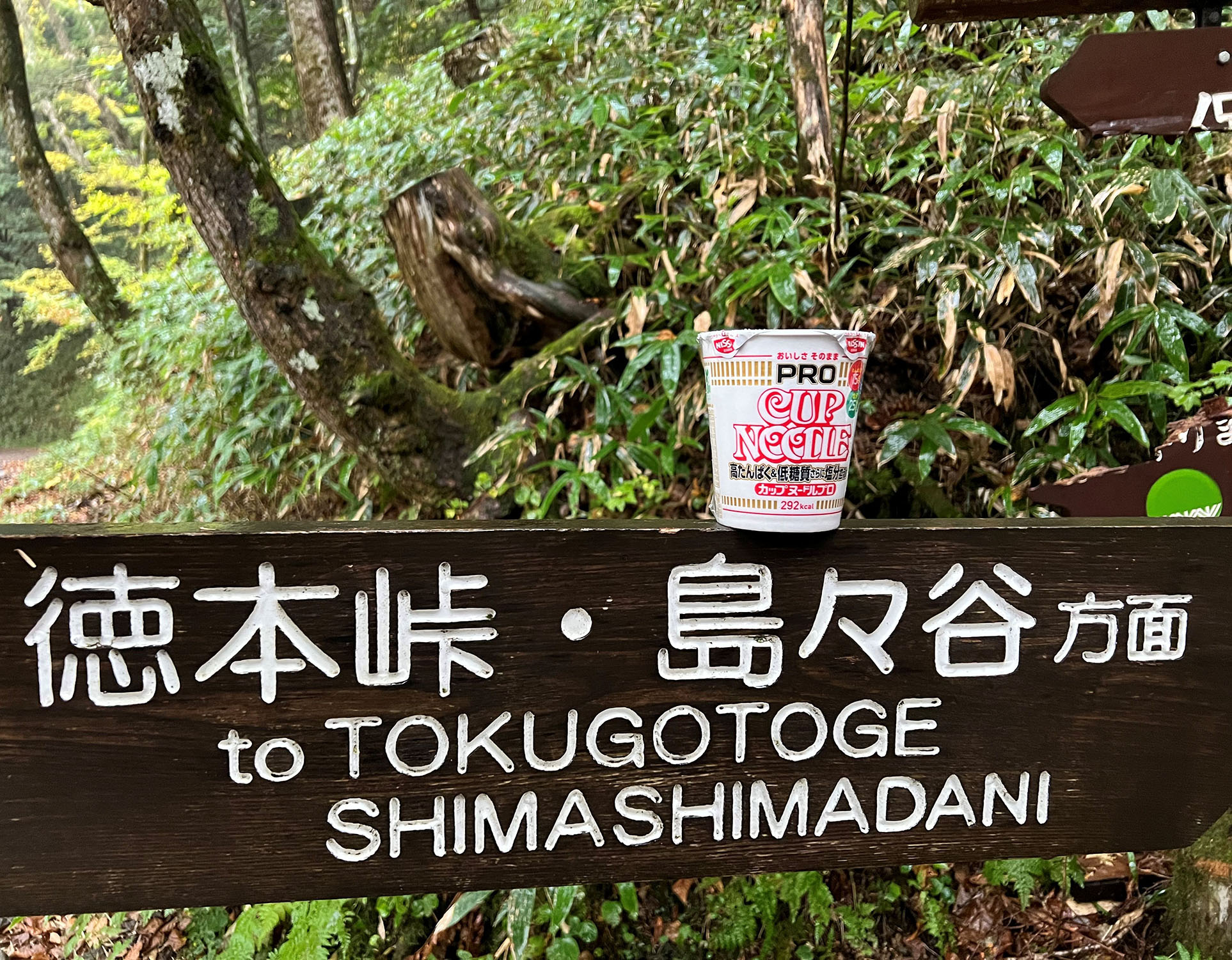 徳本峠_島々谷_祝!!開通