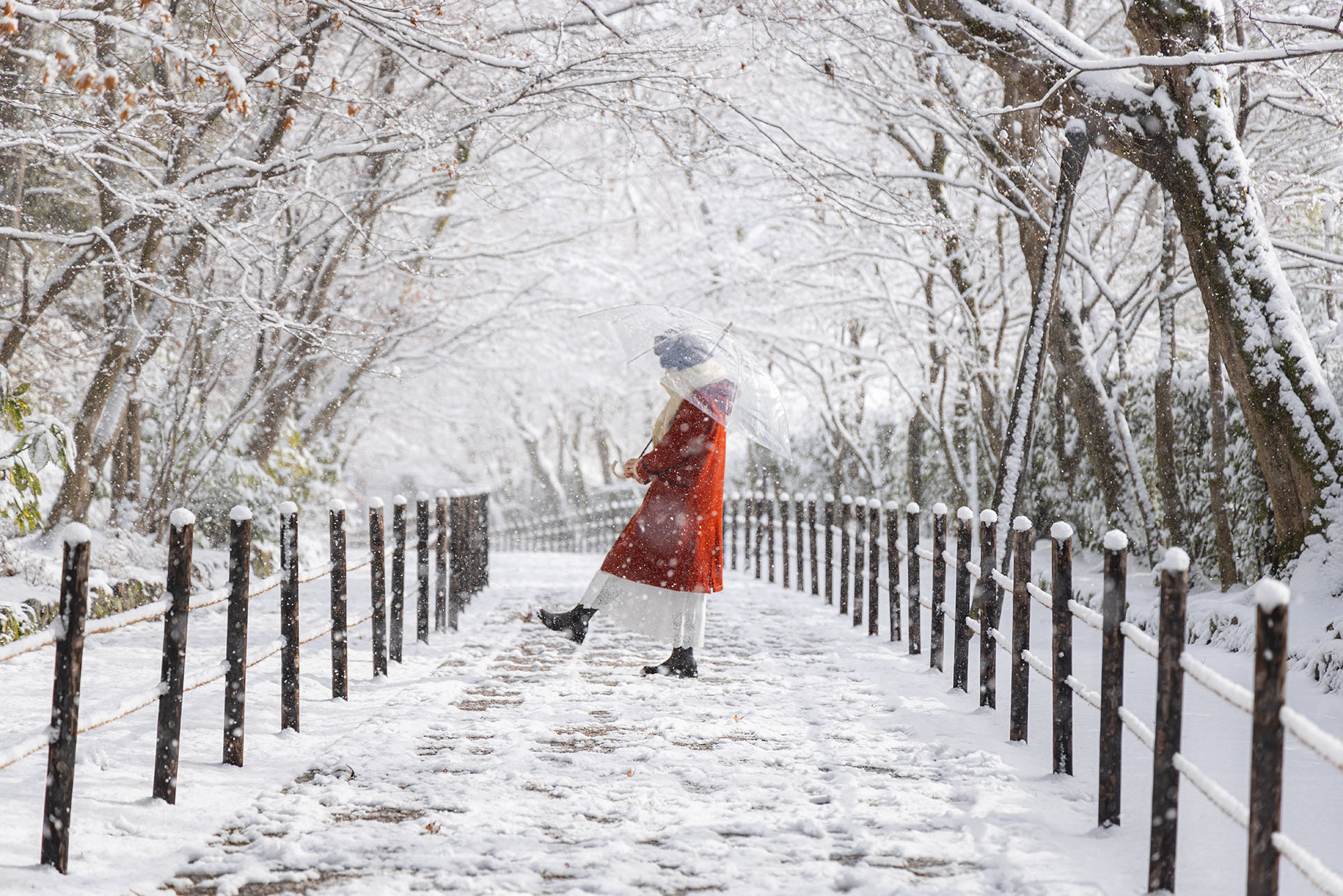 「雪降る光明寺で」