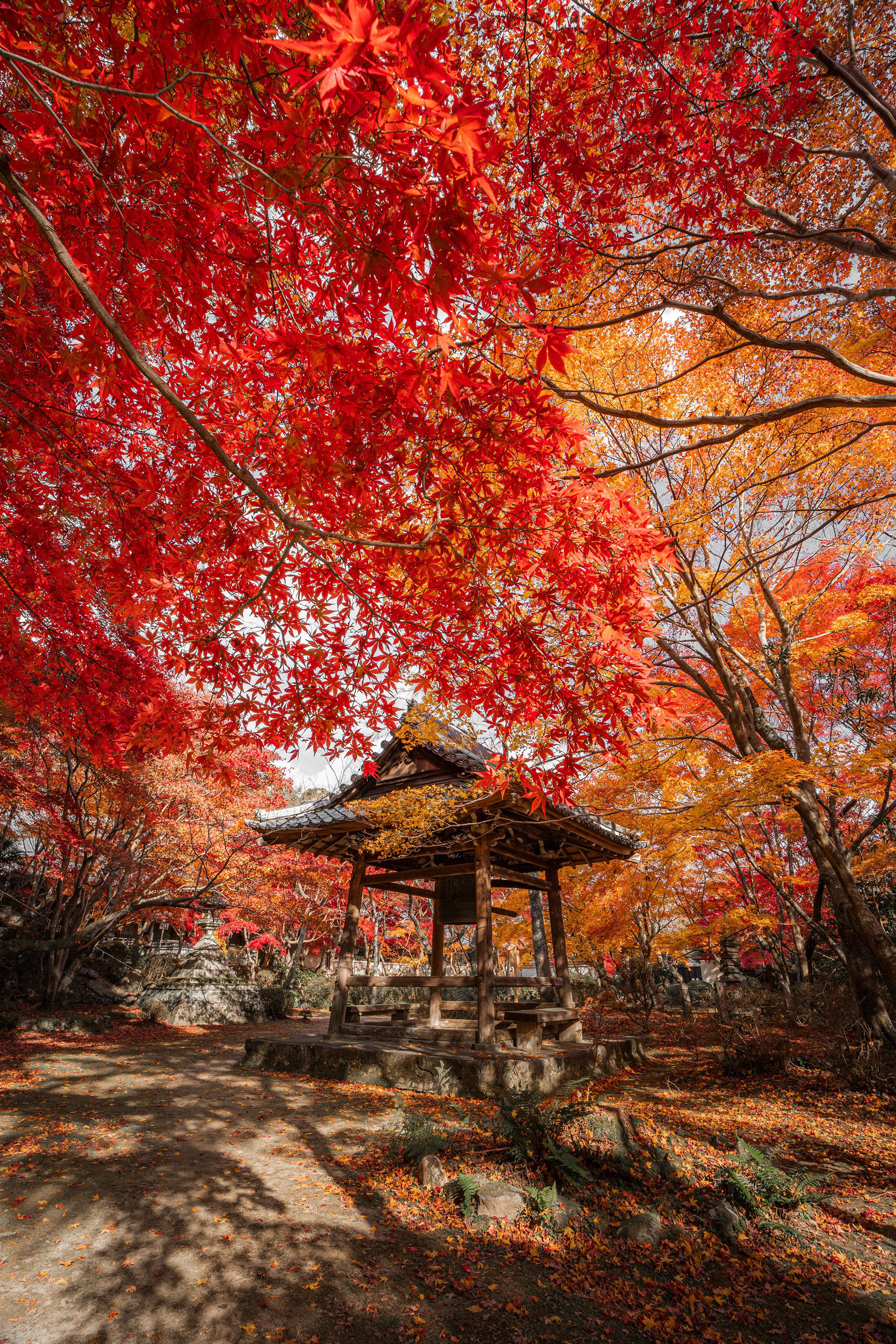 「夕刻の秋に包まれて」