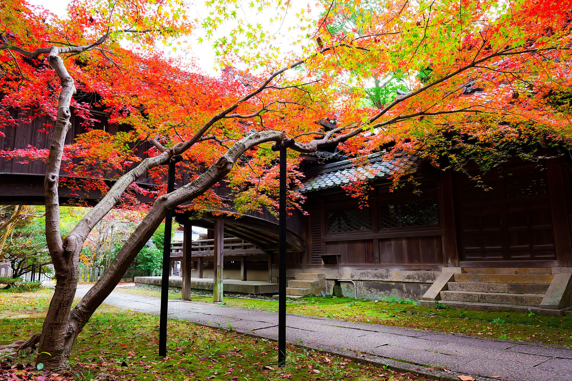 「向日神社の衣替え」
