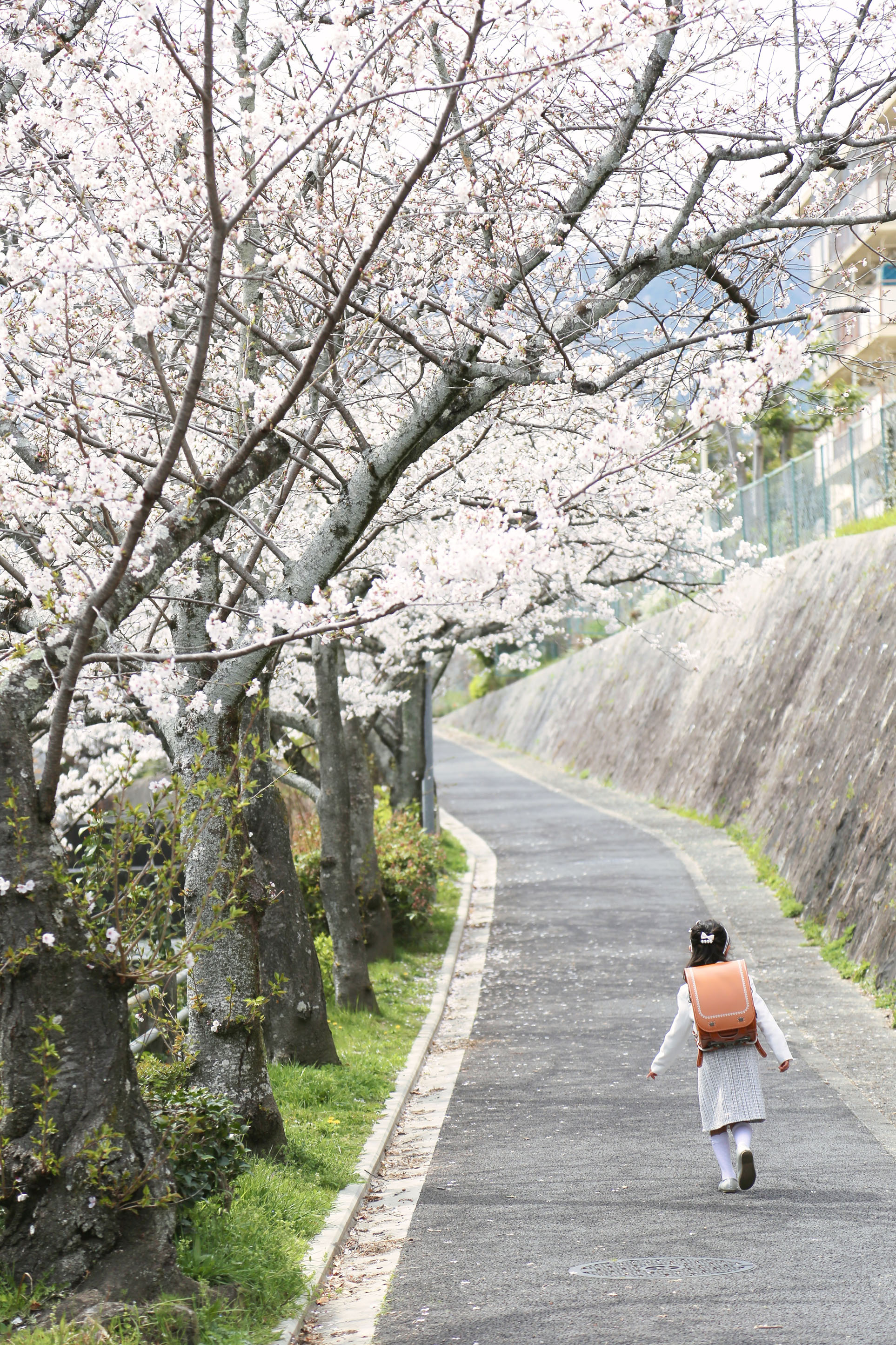 「初めてのランドセル」