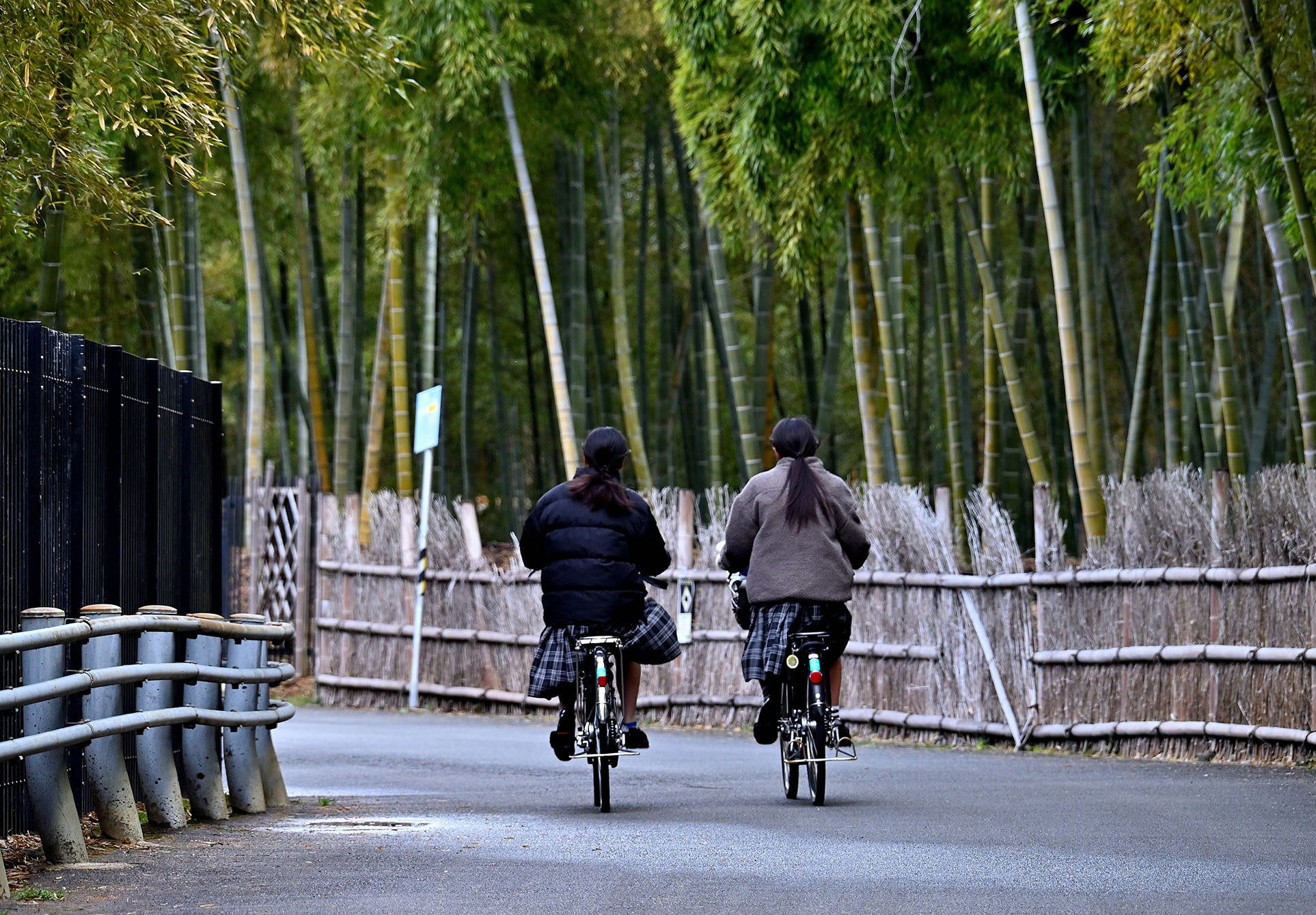 「仲良しの朝」