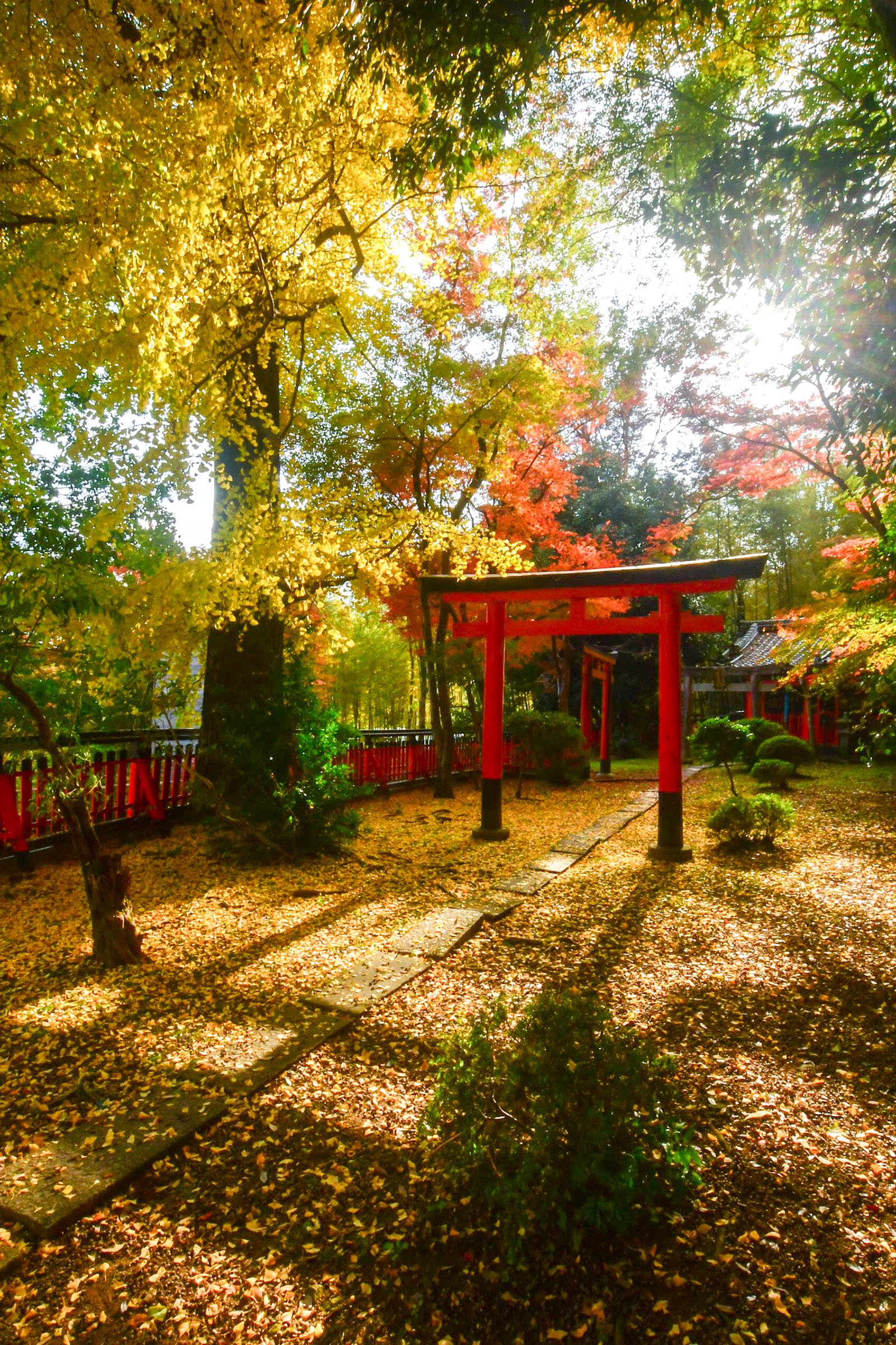 「光に包まれて」