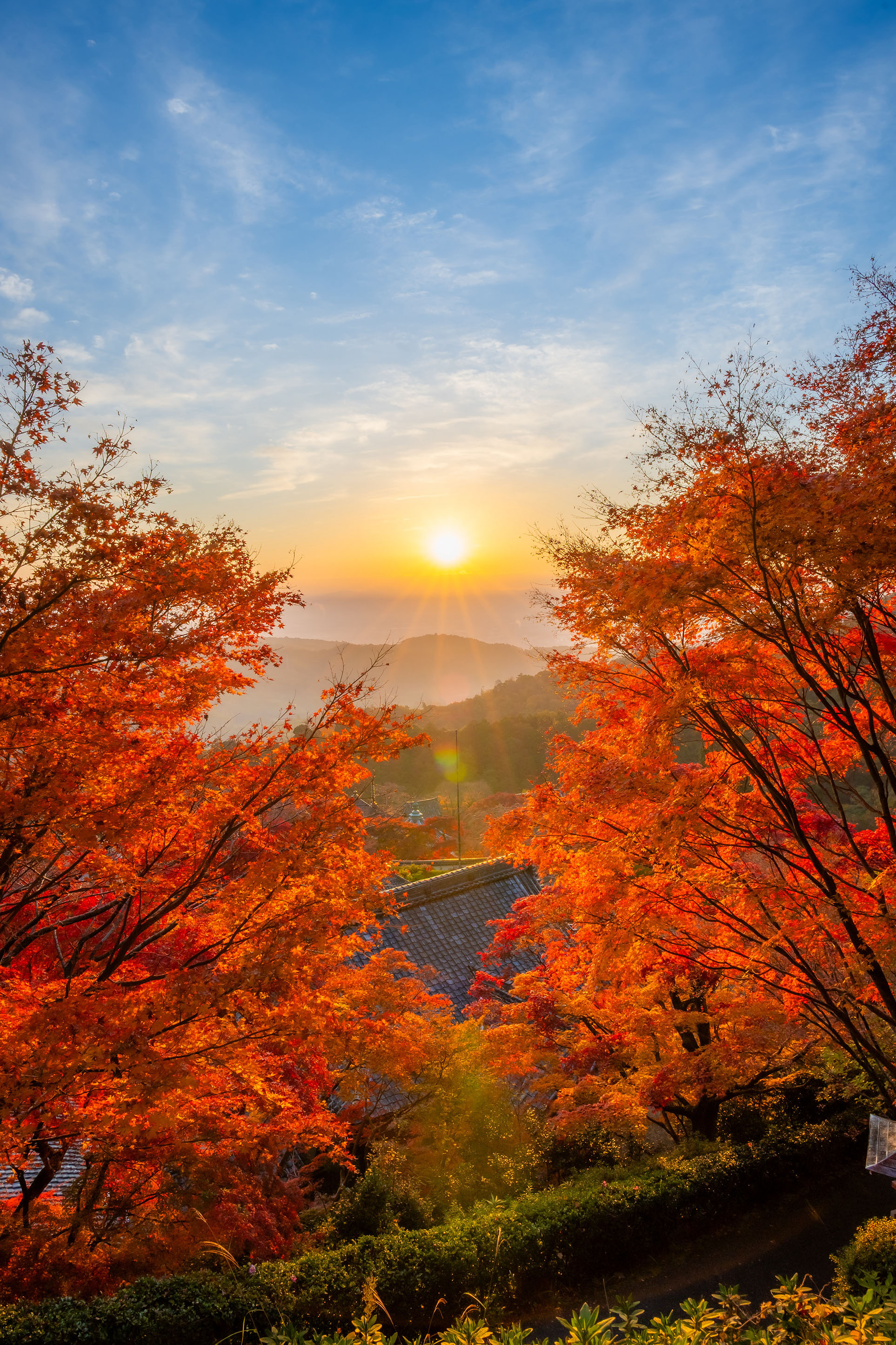 「善峯寺からのご来光」