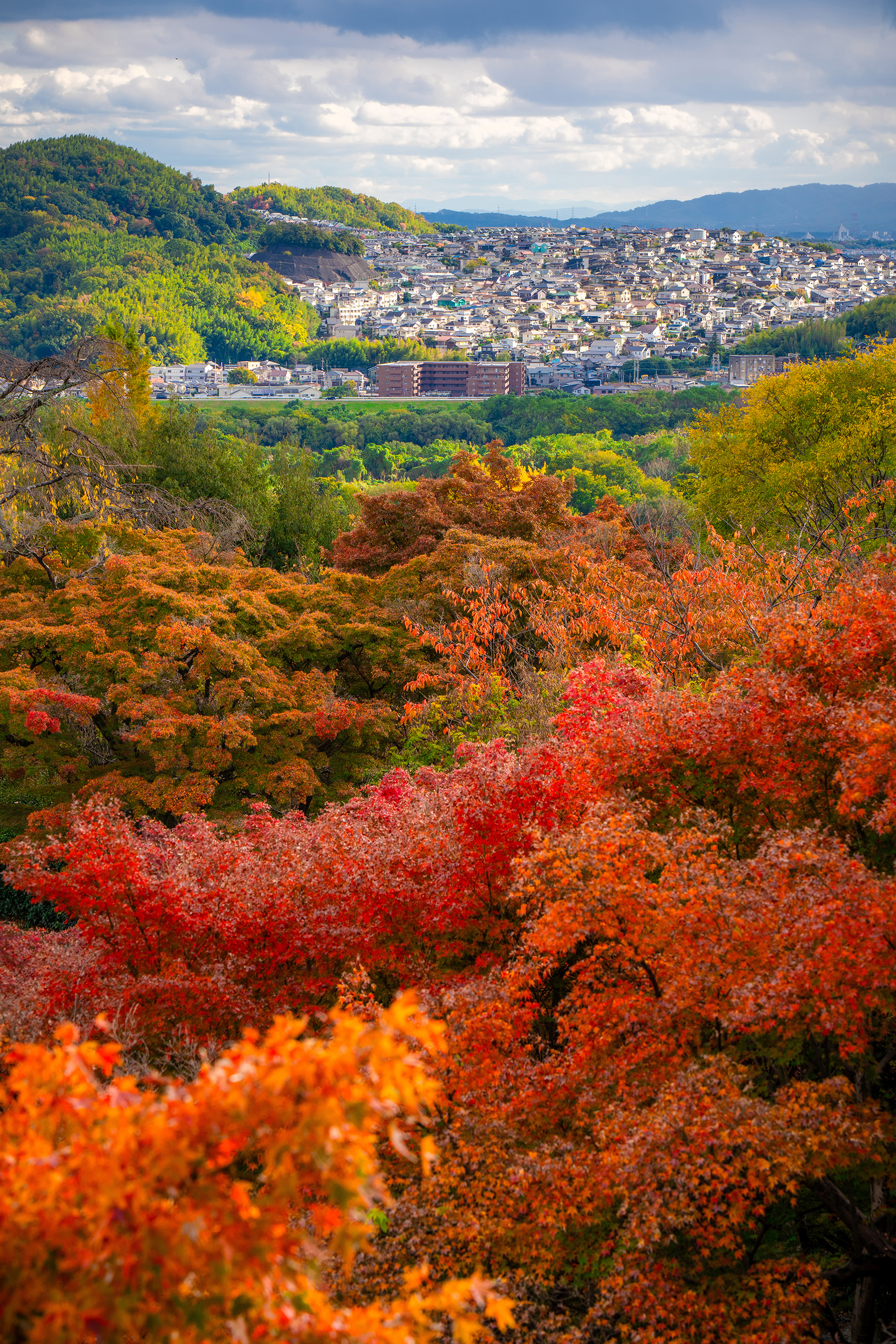 「大山崎の秋」