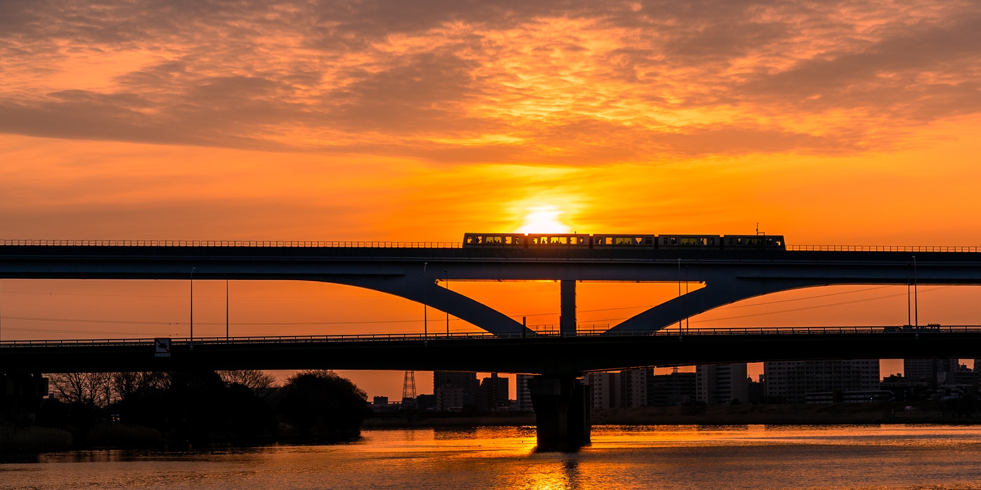 日の出ライナー
