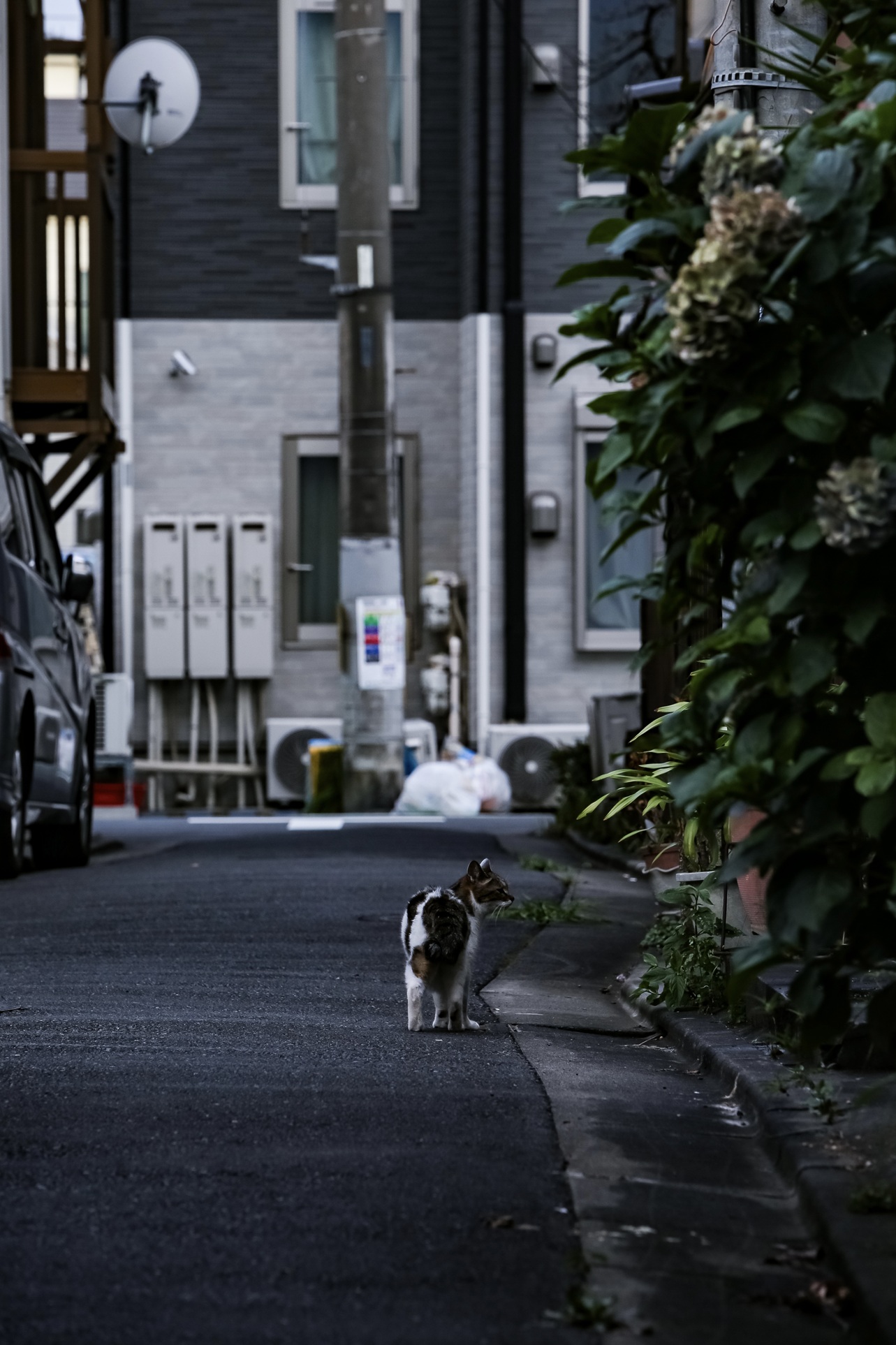 ちょっと寄り道