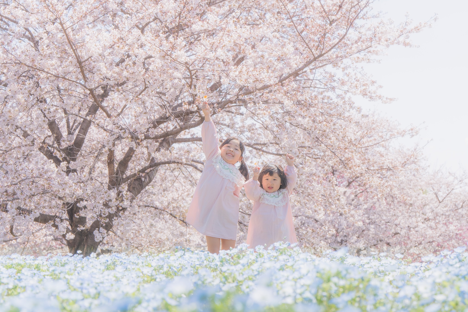 春が重なる場所