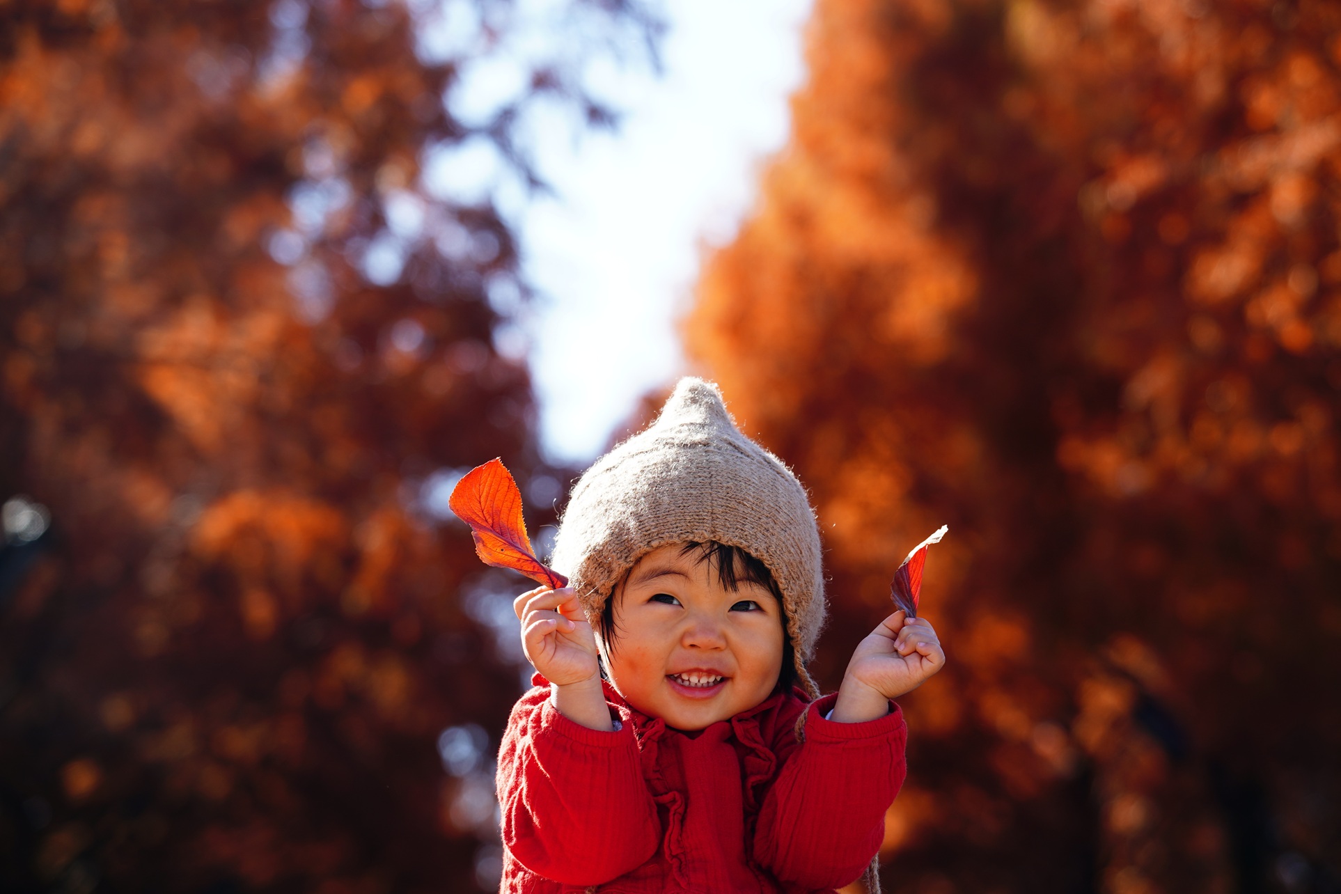 小さい秋みぃつけた！