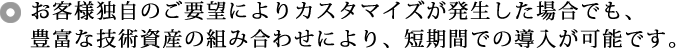 お客様独自のご要望によりカスタマイズが発生した場合でも、
豊富な技術資産の組み合わせにより、短期間での導入が可能です。