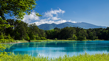 福島の魅力: 自然、文化、食、そして希望
