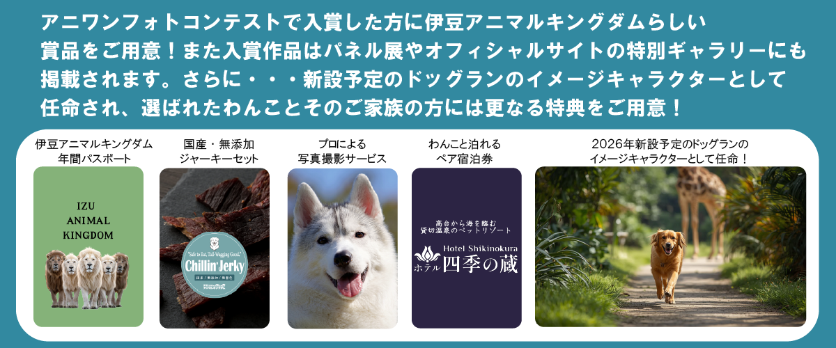 アニわんフォトコンテスト