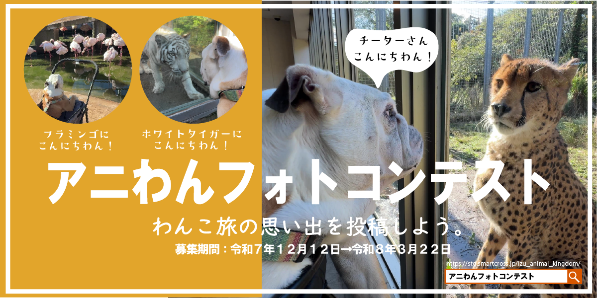 アニわんフォトコンテスト
