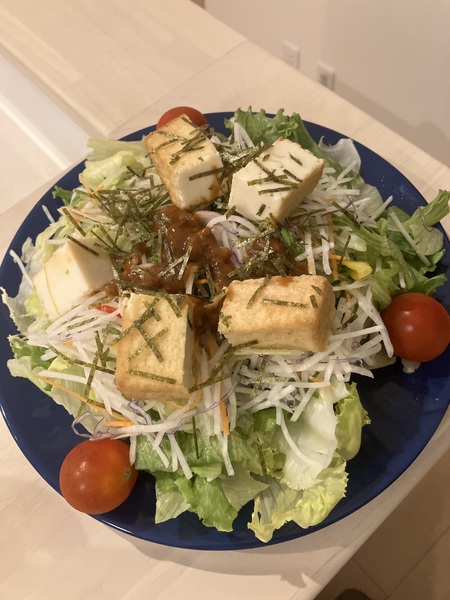厚揚げの肉みそ風サラダ
