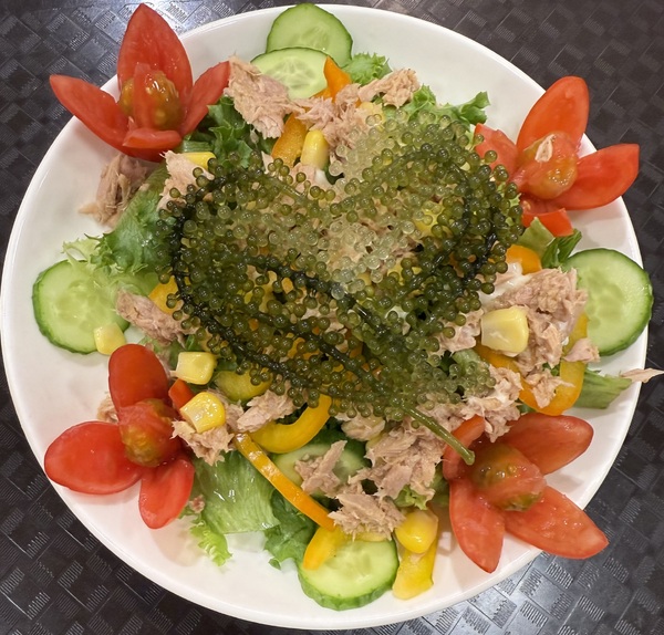 Tuna salad and fruit salad