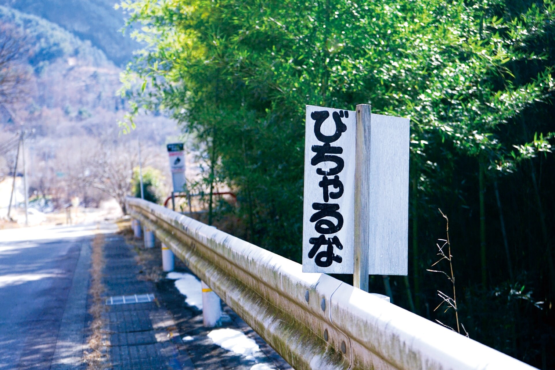 拾うゴミなし、地元のひみつ？
