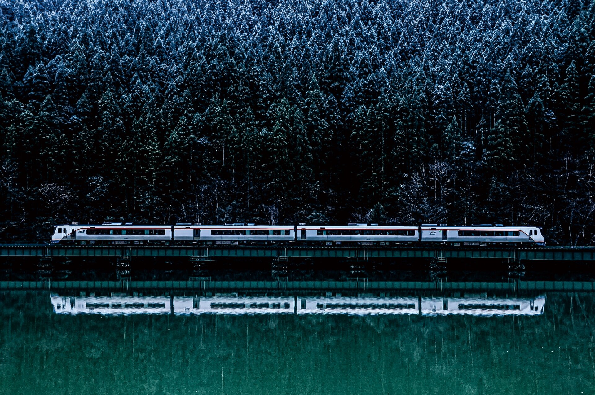 旅路、森とともに